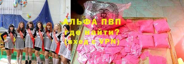 стафф Вязьма
