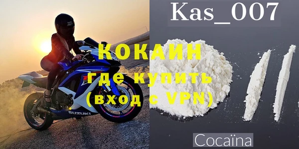 стафф Вязьма