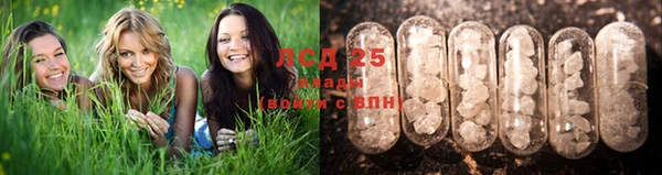 стафф Вязьма