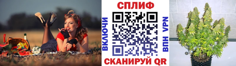 blacksprut ТОР  Каргополь  Конопля MAZAR  закладки 
